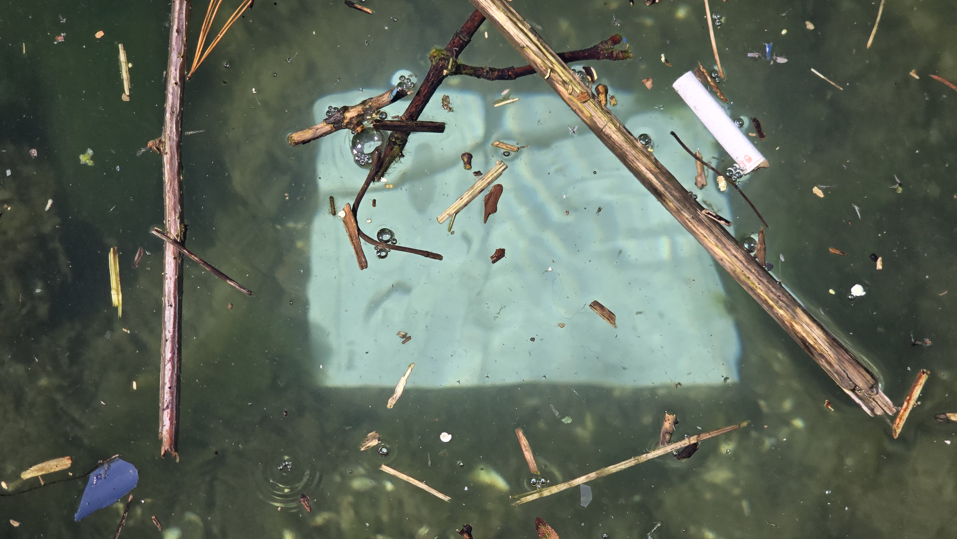 Basin Cleanup Photo 17