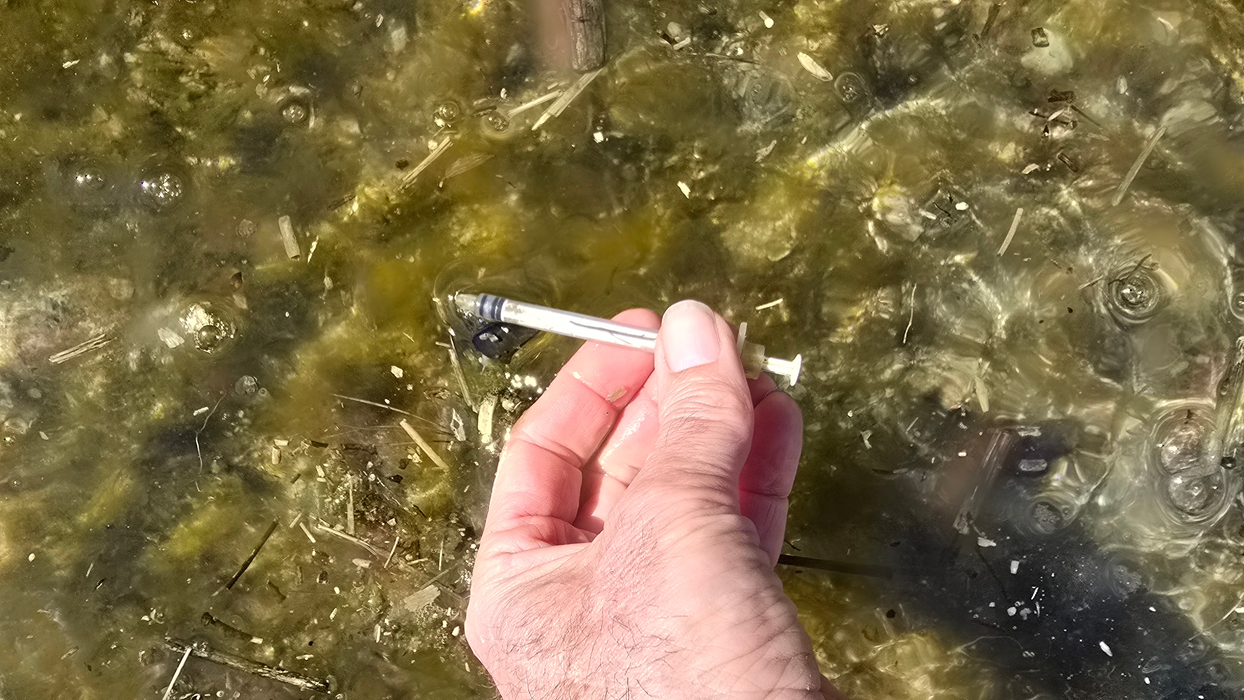 Basin Cleanup Photo 20