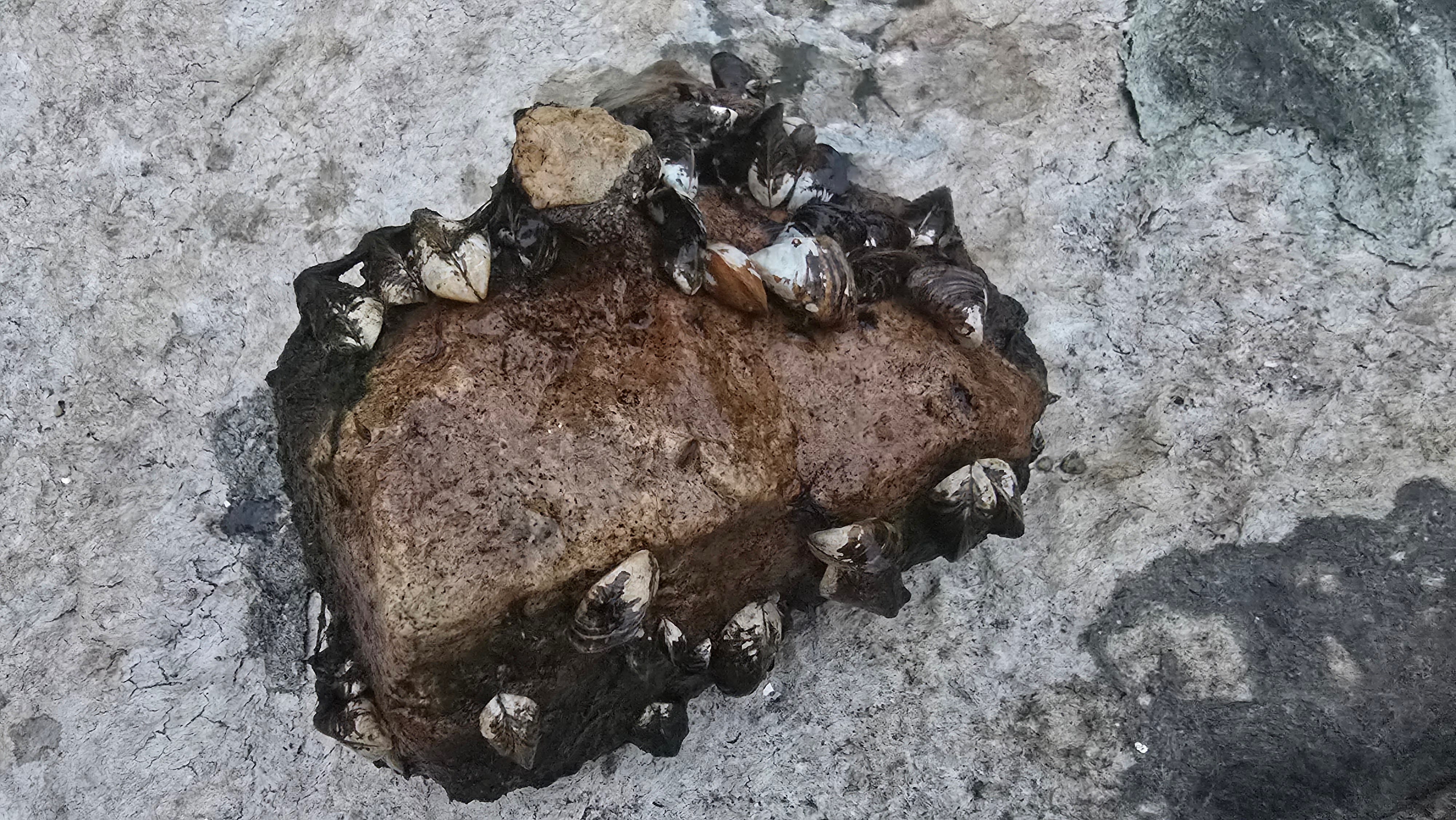 Basin Image 37
