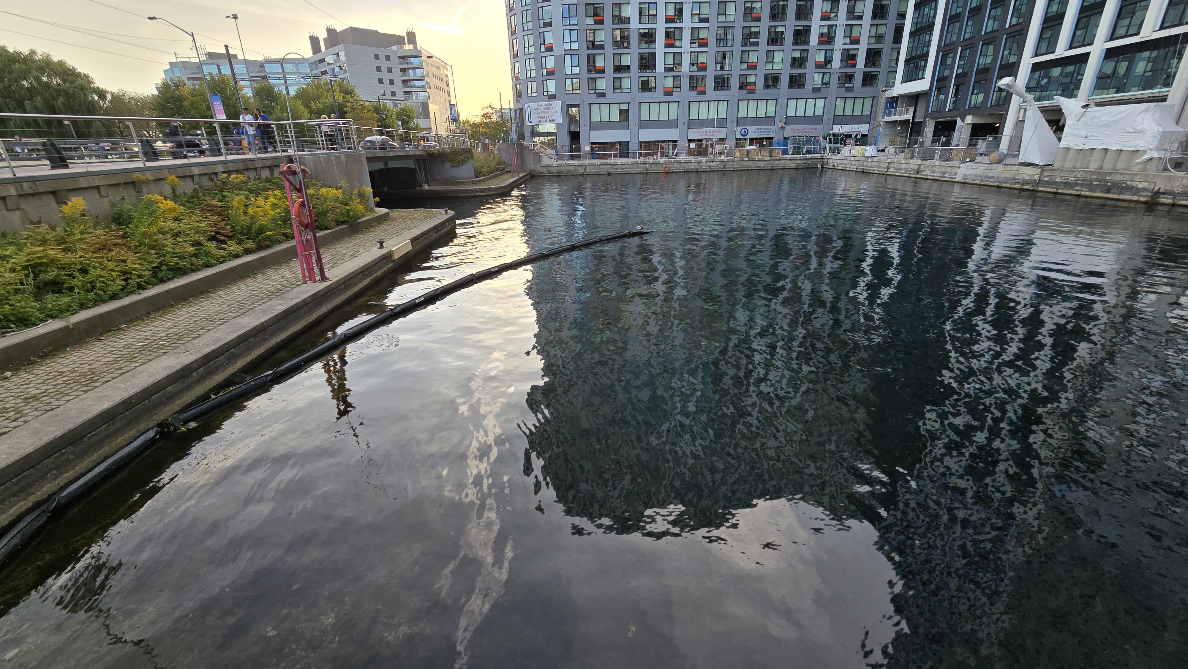 Basin Cleanup Photo 9