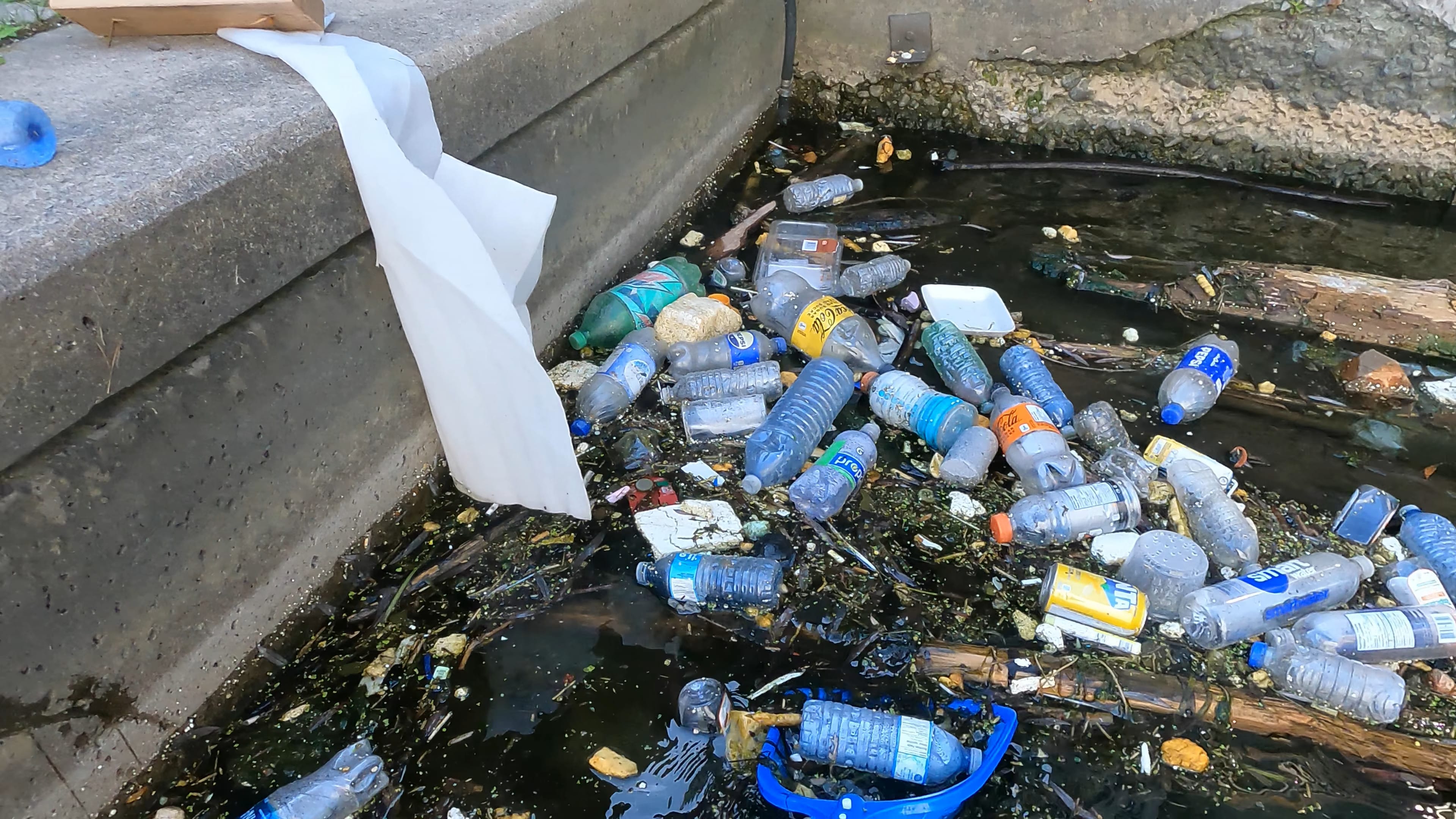 Basin Cleanup Photo 19