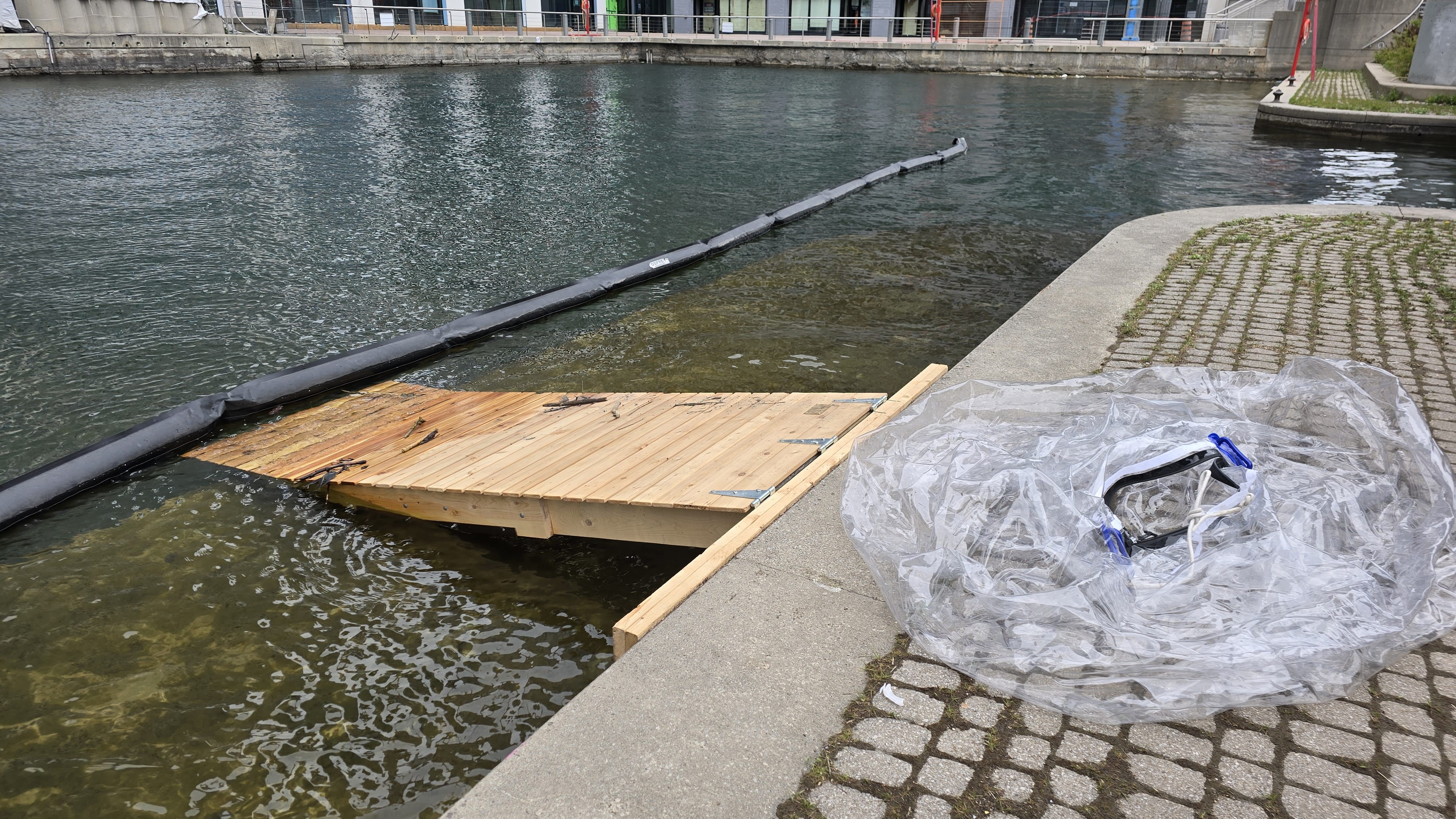 Cleanup Photo 7